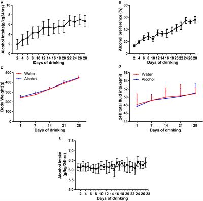 7,8-Dihydroxyflavone Attenuates Alcohol-Related Behavior in Rat Models of Alcohol Consumption via TrkB in the Ventral Tegmental Area